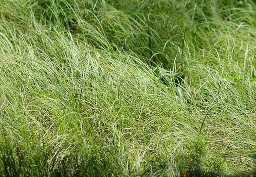 �������Y