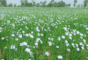 �������Y