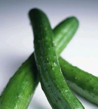 �������Y