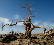 �������Y