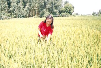 �������Y