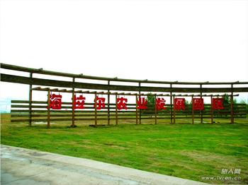 �������Y