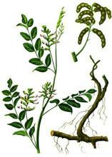 �������Y