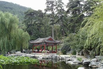 �������Y