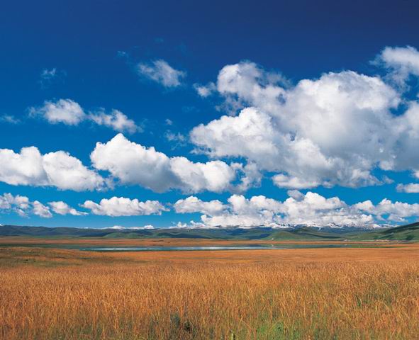 �������Y