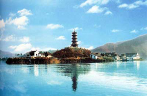 �������Y