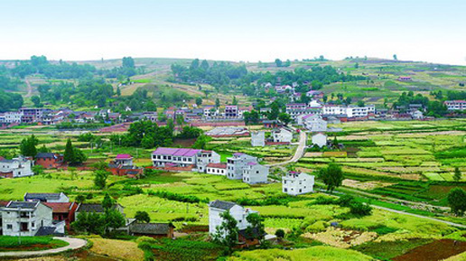 �������Y