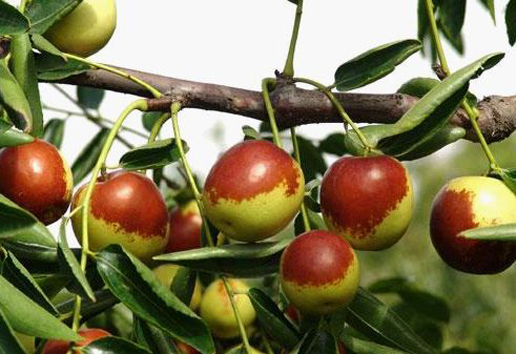 �������Y