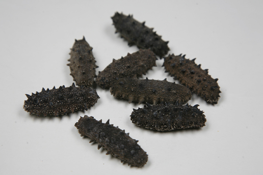 �������Y