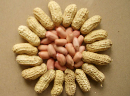 �������Y