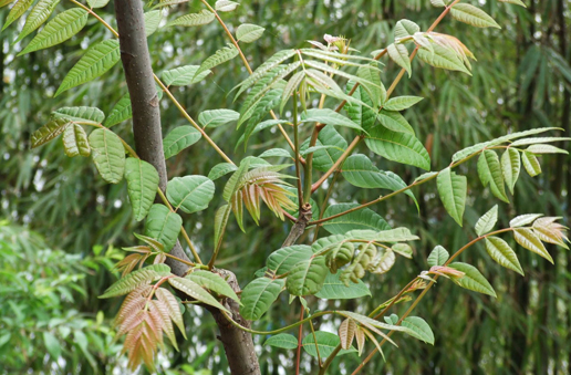 �������Y