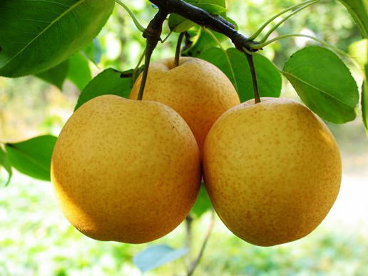 �������Y