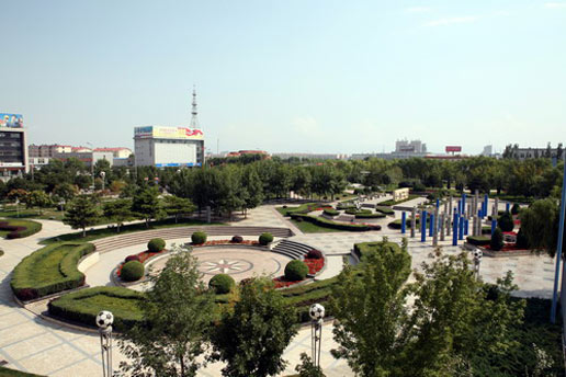 �������Y