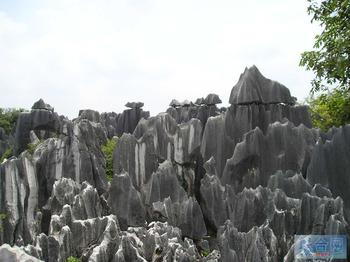 �������Y