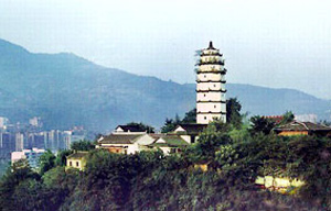 �������Y