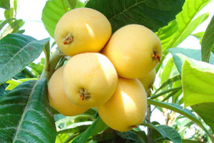 �������Y