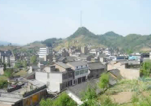 �������Y