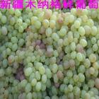 �������Y