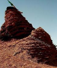 �������Y