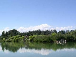 �������Y