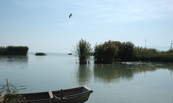 �������Y