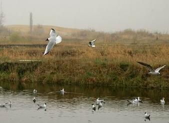 �������Y