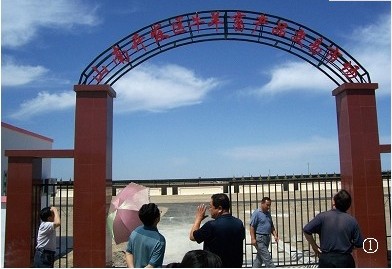 �������Y