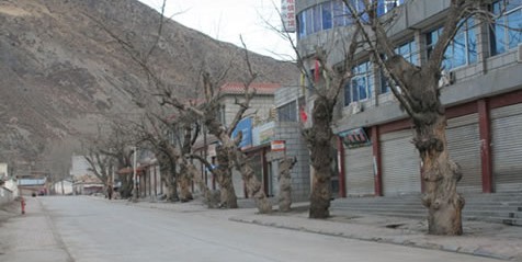 �������Y