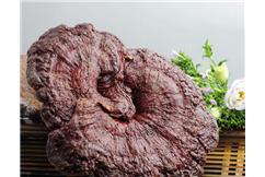 �������Y