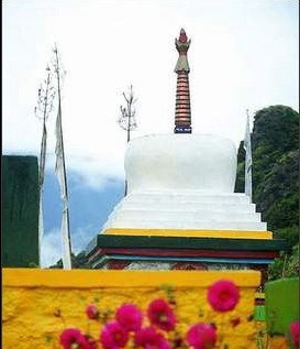 �������Y