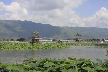 �������Y