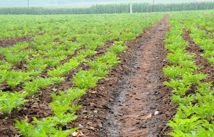 �������Y