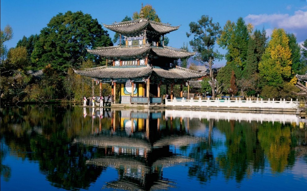 �������Y