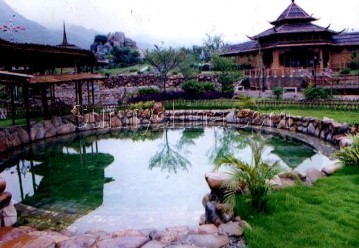 �������Y