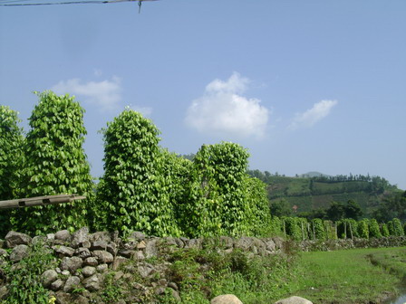 �������Y