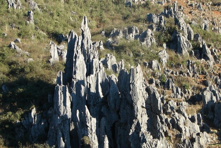 �������Y