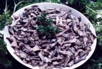 �������Y