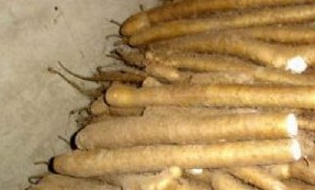 �������Y