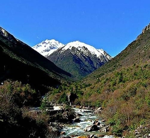 �������Y