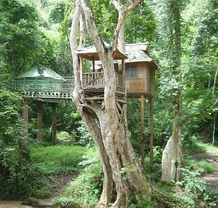 �������Y