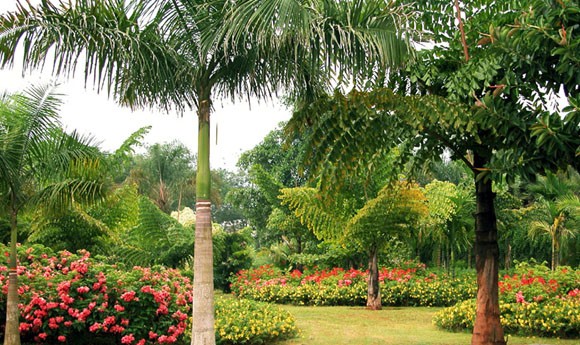 �������Y