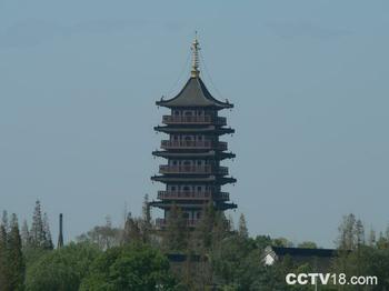 �������Y