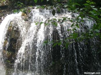 �������Y